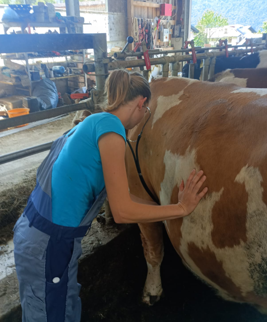 Mlada veterinarka spet brez omejitev opravlja svoj poklic